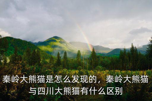 大熊貓是四川哪里的,秦嶺大熊貓是怎么發(fā)現(xiàn)的
