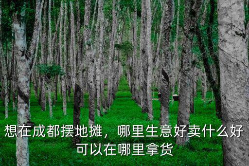 想在成都擺地?cái)偅睦锷夂觅u什么好可以在哪里拿貨