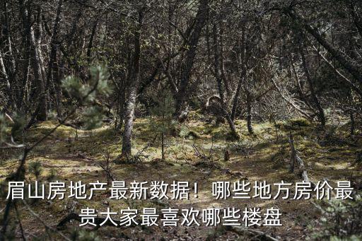 眉山市哪里房價最貴,哪些地方房價最貴