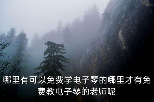 遂寧哪里有學電子琴,怎樣才能學好電子琴