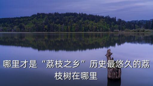 瀘州哪里種荔枝最好,哪里才是荔枝之鄉(xiāng)