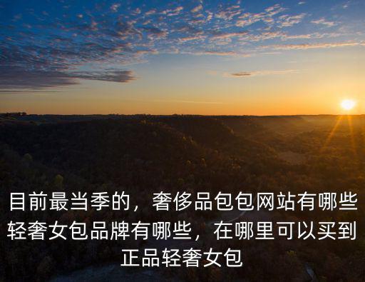 目前最當季的，奢侈品包包網站有哪些輕奢女包品牌有哪些，在哪里可以買到正品輕奢女包