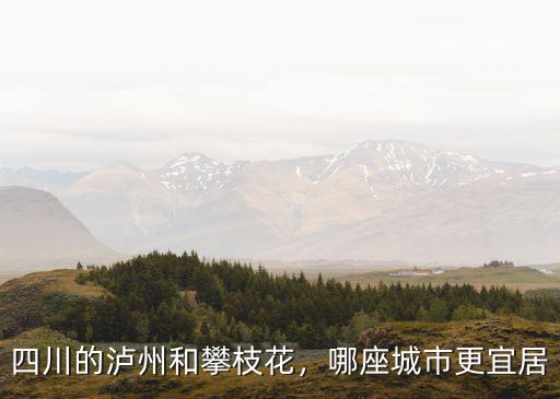 攀枝花蔬菜最多的地方是哪里,四川的瀘州和攀枝花
