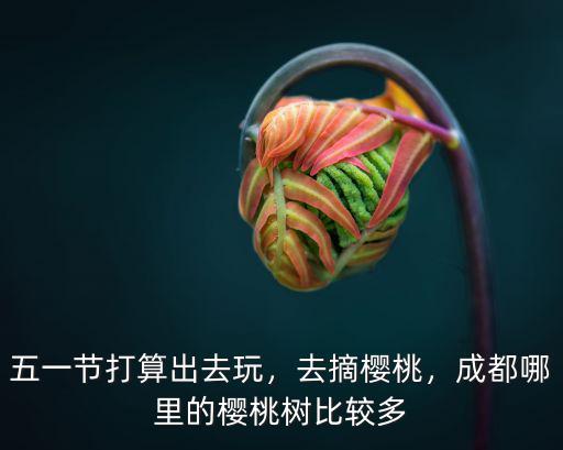 五一節打算出去玩，去摘櫻桃，成都哪里的櫻桃樹比較多