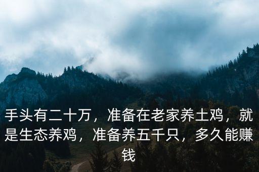 手頭有二十萬，準備在老家養土雞，就是生態養雞，準備養五千只，多久能賺錢