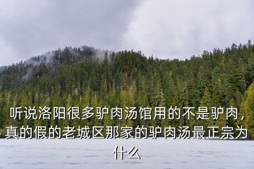 聽說洛陽很多驢肉湯館用的不是驢肉，真的假的老城區那家的驢肉湯最正宗為什么