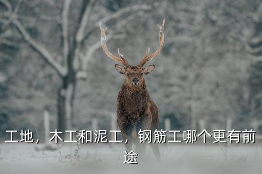 工地，木工和泥工，鋼筋工哪個更有前途