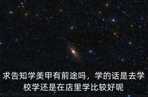 求告知學美甲有前途嗎，學的話是去學校學還是在店里學比較好呢