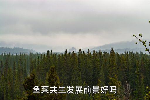 鄭州優(yōu)良魚(yú)菜共生怎么樣,魚(yú)菜共生蔬菜的口感怎么樣
