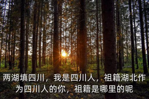 兩湖填四川，我是四川人，祖籍湖北作為四川人的你，祖籍是哪里的呢