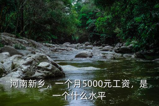 新鄉華蘭一個月多少工資,一個月工資有多少