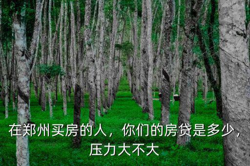 在鄭州買房的人，你們的房貸是多少，壓力大不大