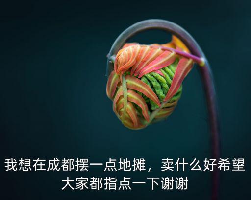 我想在成都擺一點地攤，賣什么好希望大家都指點一下謝謝