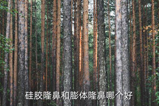 成都隆鼻哪里好要?s美萊,成都隆鼻使用的材料有哪些