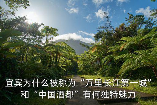 四川哪里被稱為酒城,瀘州稱為酒城