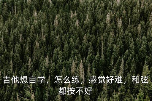 吉他想自學，怎么練，感覺好難，和弦都按不好