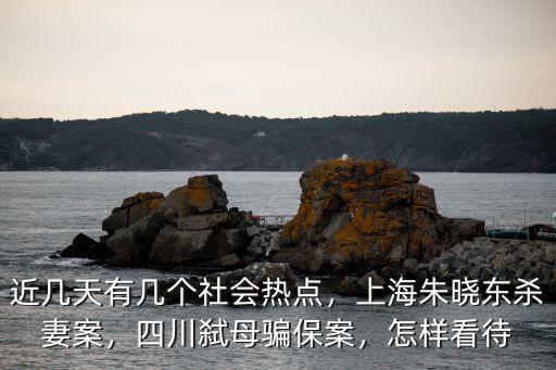 弒母騙保案自貢哪里人,四川弒母騙保案