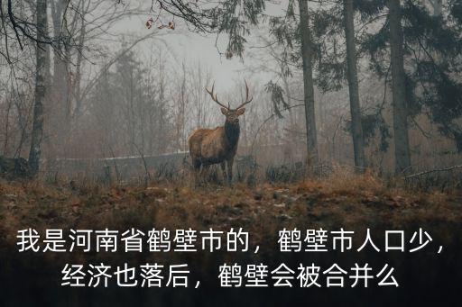 鶴壁市人均gdp是多少,我是河南省鶴壁市的