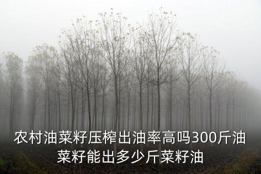 農(nóng)村油菜籽壓榨出油率高嗎300斤油菜籽能出多少斤菜籽油