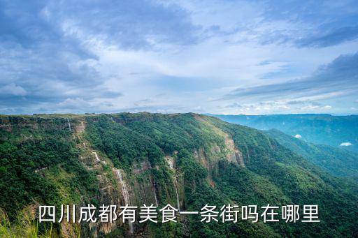 成都小吃哪里最地道,成都哪里有地道的美食