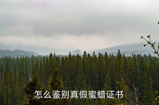 怎么鑒別真假蜜蠟證書