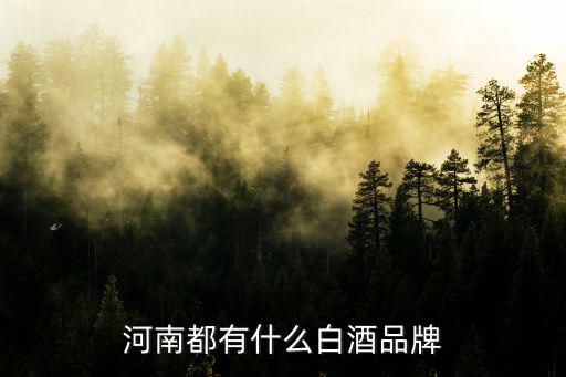 河南蒸酒石英管哪里有,河南都有什么白酒品牌