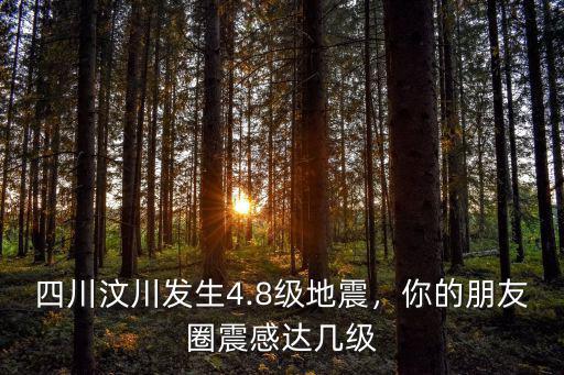 四川二級地震哪里有震感,你的朋友圈震感達幾級