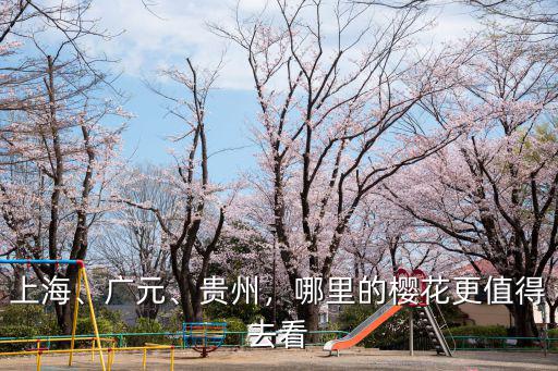 廣元哪里適合去花海,四川廣元哪里可以賞花