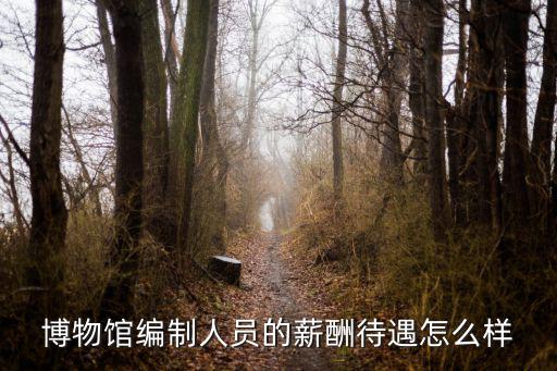 鄭州博物館事業(yè)編制待遇怎么樣,河南省事業(yè)編待遇怎么樣