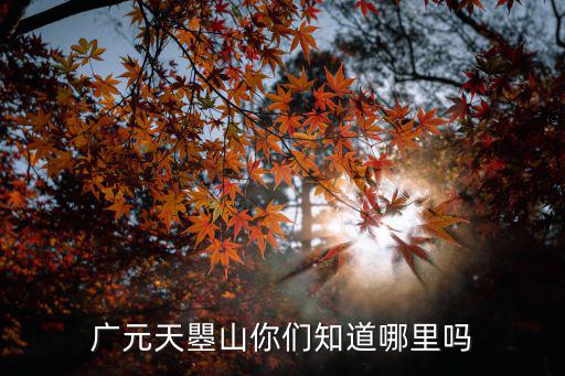 廣元最高山是哪里,廣元天瞾山你們知道哪里嗎