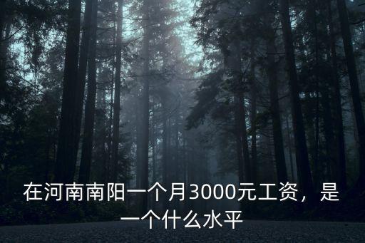 在河南南陽一個月3000元工資，是一個什么水平