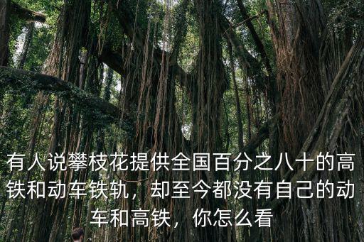 有人說攀枝花提供全國百分之八十的高鐵和動車鐵軌，卻至今都沒有自己的動車和高鐵，你怎么看