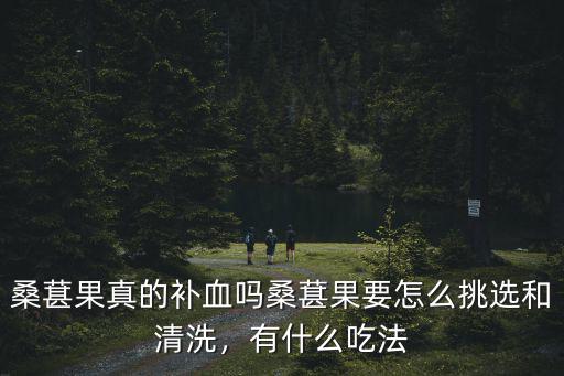 桑葚果真的補(bǔ)血嗎桑葚果要怎么挑選和清洗，有什么吃法