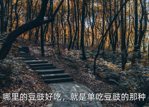 四川豆豉哪里有賣的,哪里的豆豉好吃