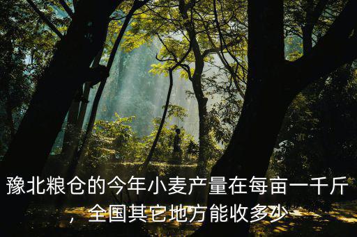 豫北糧倉在河南哪里,為什么說河南滑縣是豫北糧倉