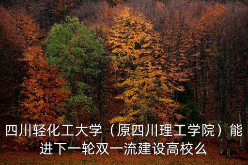 四川輕化工大學（原四川理工學院）能進下一輪雙一流建設高校么