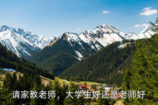請家教老師，大學生好還是老師好