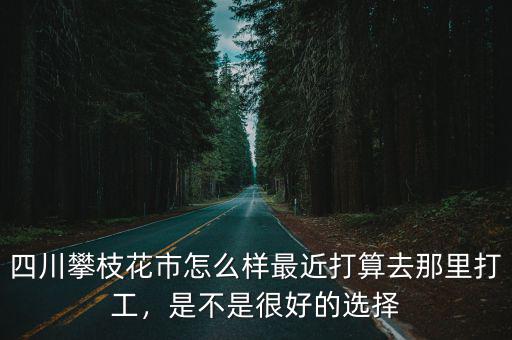 四川攀枝花市怎么樣最近打算去那里打工，是不是很好的選擇