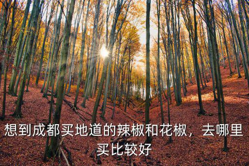 想到成都買地道的辣椒和花椒，去哪里買比較好