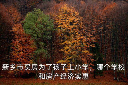 新鄉市買房為了孩子上小學，哪個學校和房產經濟實惠