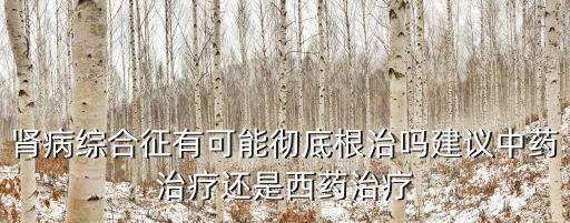 腎病綜合征有可能徹底根治嗎建議中藥治療還是西藥治療