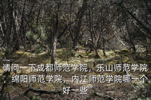 綿陽師范學院的學伴在哪里,綿陽師范學院