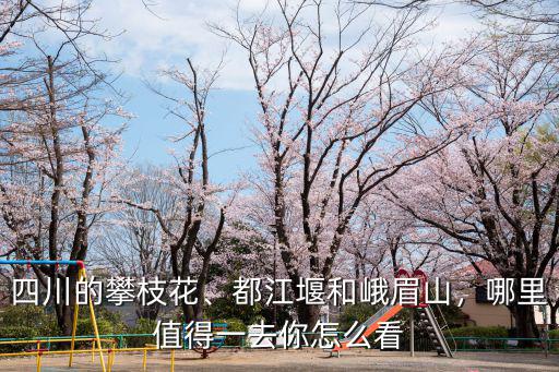 四川的攀枝花、都江堰和峨眉山，哪里值得一去你怎么看
