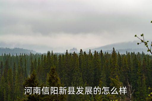 河南信陽新縣發(fā)展的怎么樣