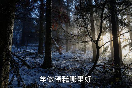成都學蛋糕哪里最好,四川成都蛋糕技術培訓哪里好