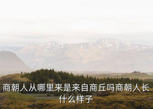 商朝人從哪里來是來自商丘嗎商朝人長什么樣子