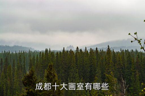 四川哪里有畫室,具體都有什么畫室