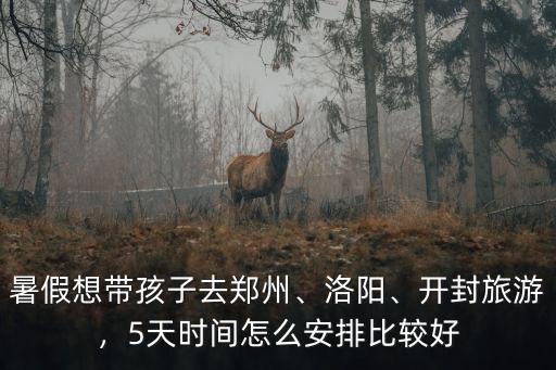 暑假想帶孩子去鄭州、洛陽、開封旅游，5天時間怎么安排比較好