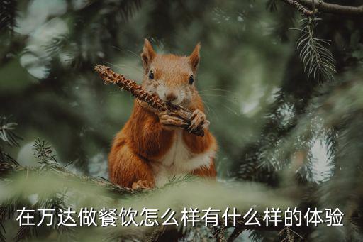 在萬達做餐飲怎么樣有什么樣的體驗