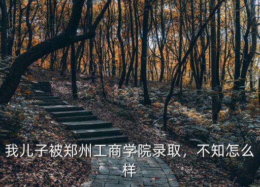 我兒子被鄭州工商學院錄取，不知怎么樣